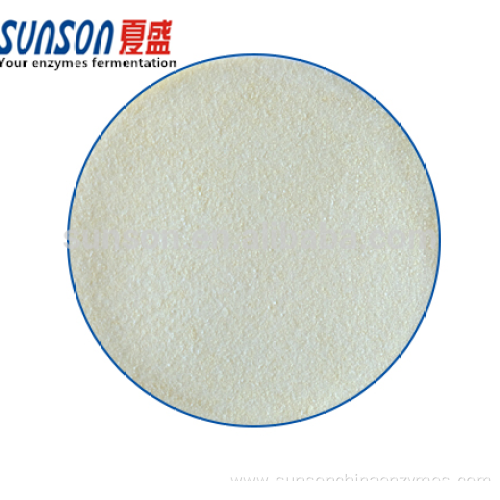 Food grade transglutaminase enzyme TG for protein adhesive